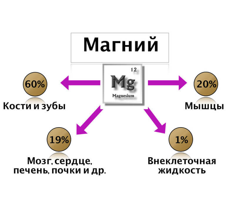 5 типов дефицита микроэлементов, которыми страдают почти все