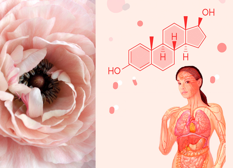 Гормональный фон: Опасность преобладания эстрогенов для женщины