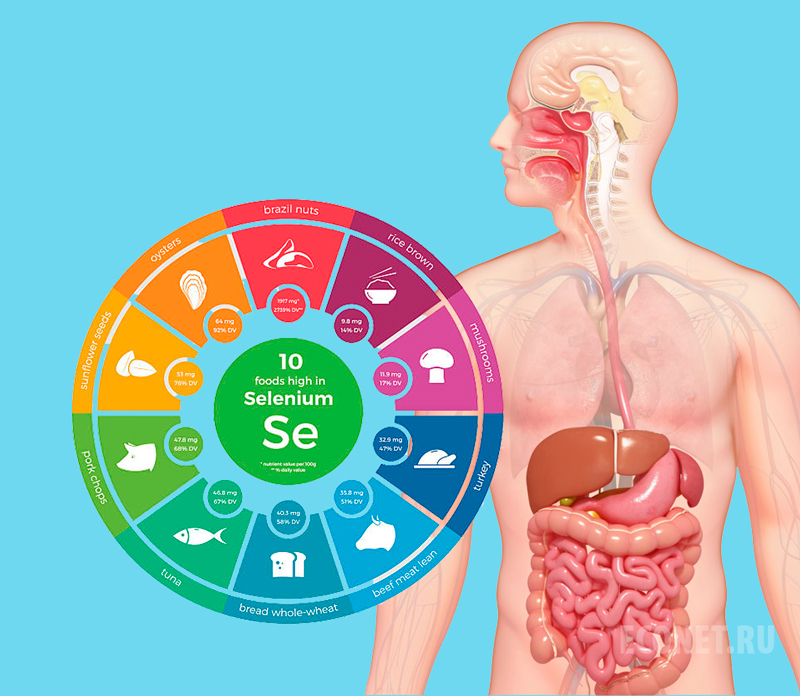 Селен: идеальная дозировка