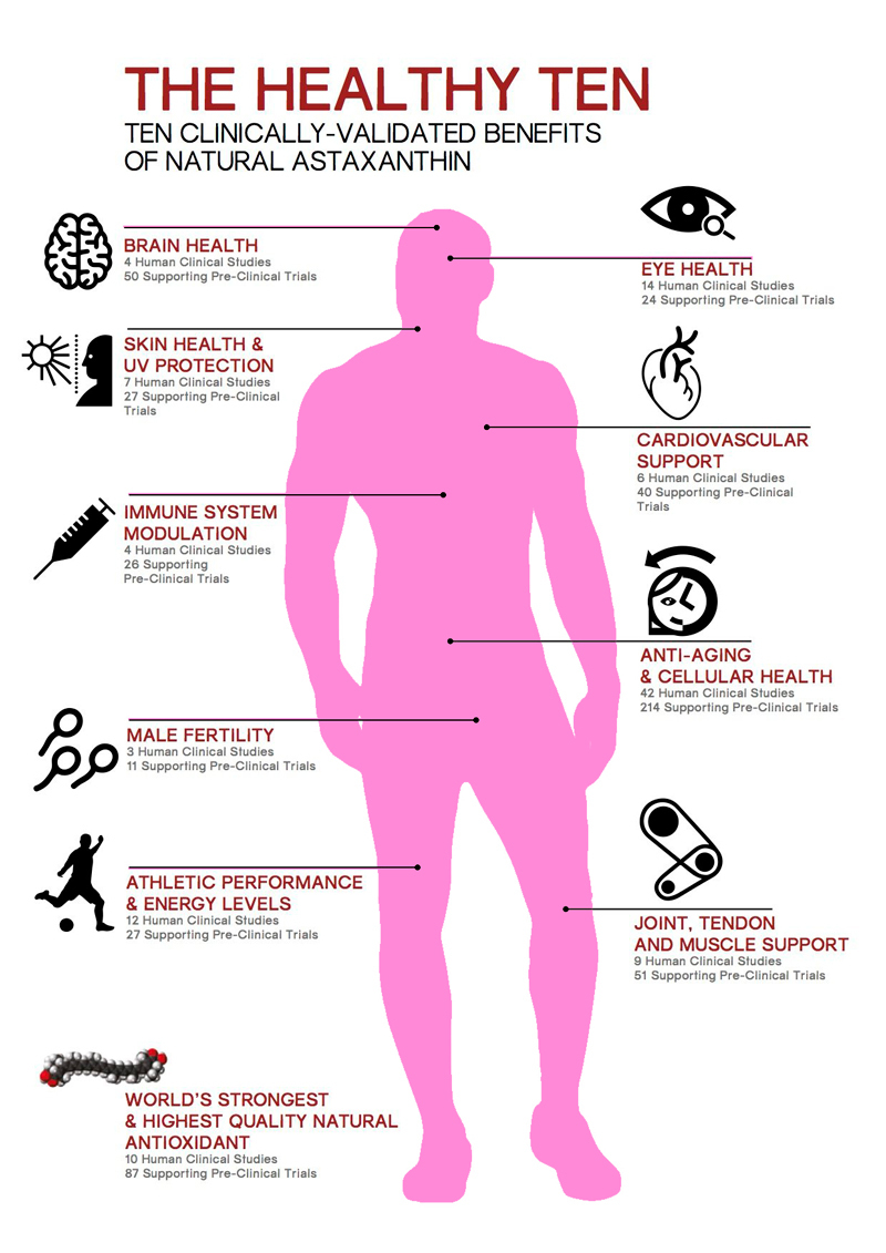 Астаксантин: крепкий иммунитет, защита мозга и сердечно-сосудистой системы