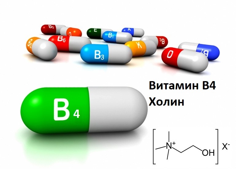 Ключ к здоровью печени