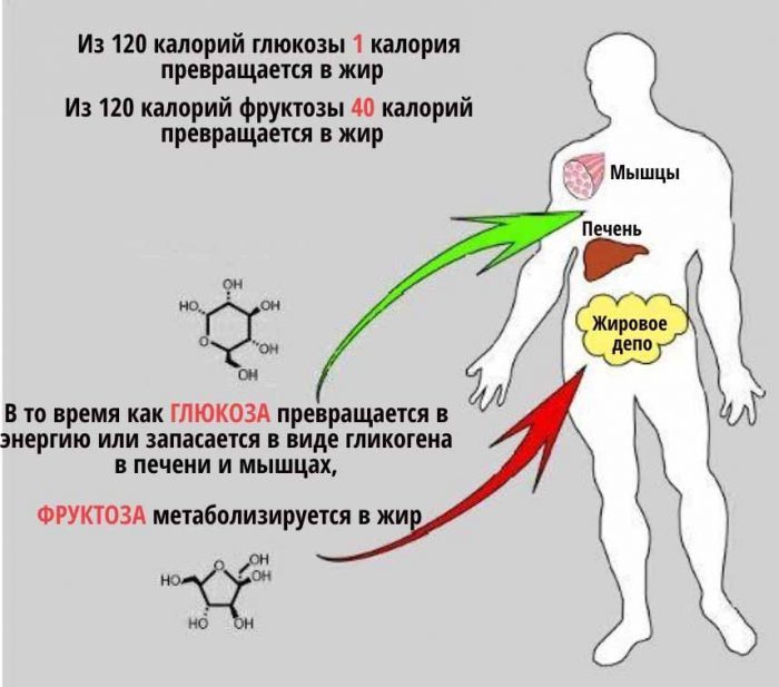 Сладкий яд: Как фруктоза приводит к диабету