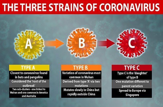3 типа коронавируса