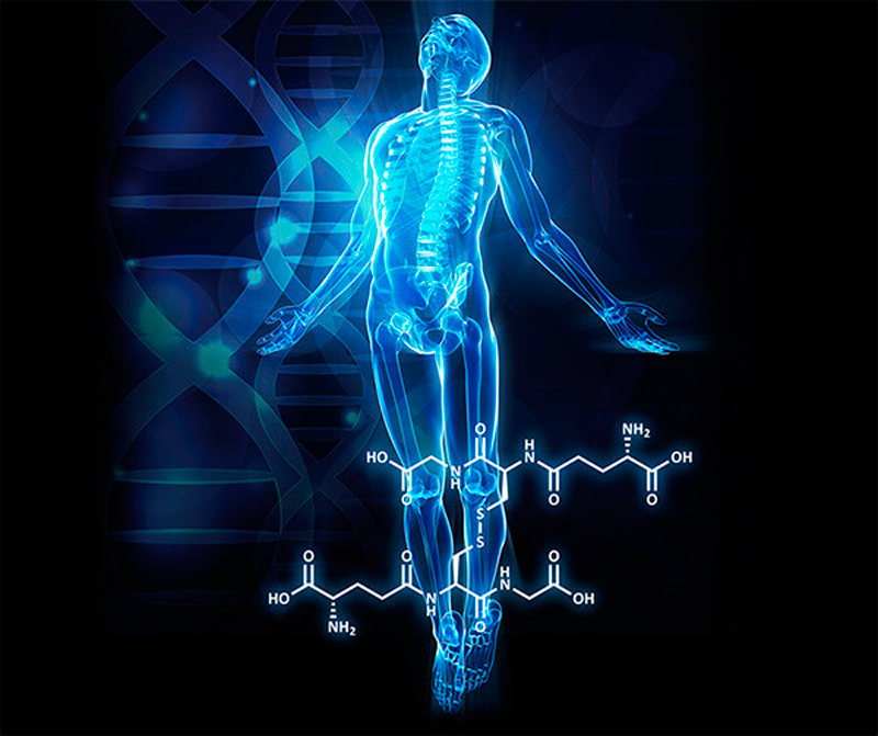Топ-20 полезных свойств глутатиона
