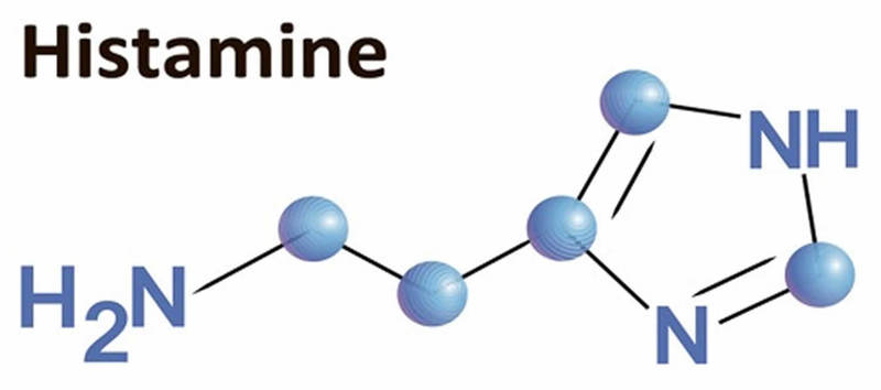 Гистаминоз: Как лечить непереносимость гистамина