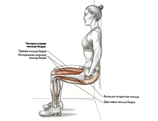 Приседания: 9 видов самого полезного упражнения