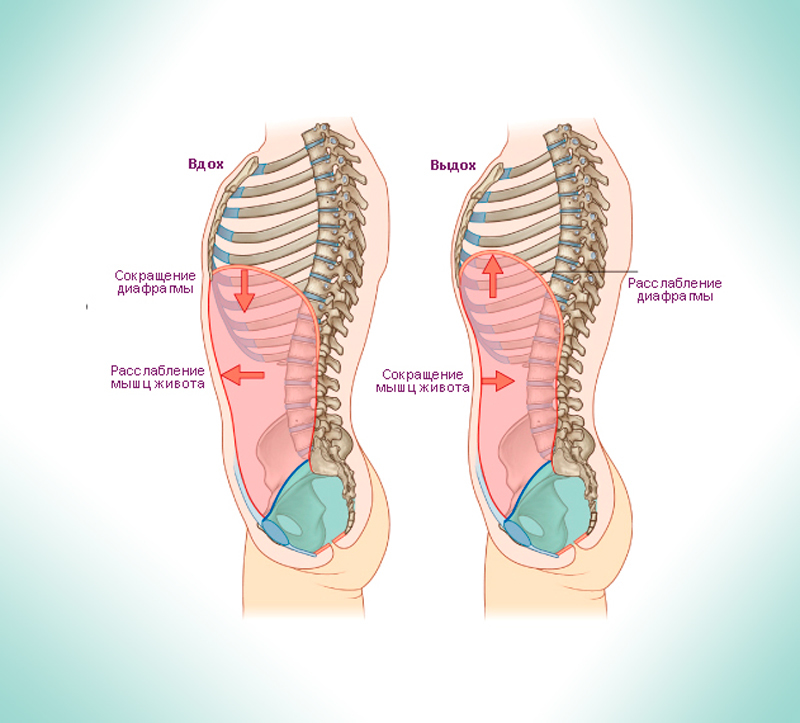Дыхательные практики для оздоровление внутренних органов 