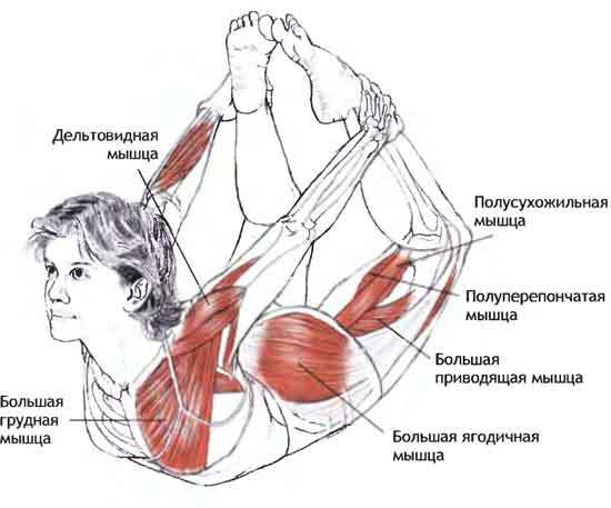 5 упражнений для профилактики и лечения заболеваний щитовидной железы