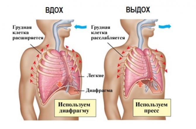 Дыхательная гимнастика для предупреждения панкреатита