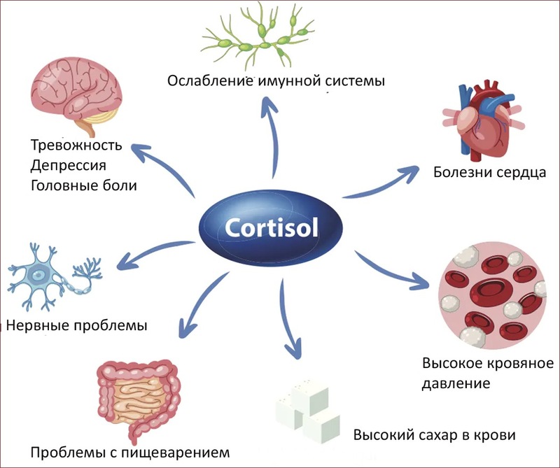 Как снизить гормон стресса: 16 способов стать счастливее