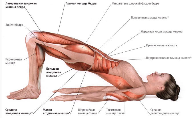 Стретчинговые упражнения для груди