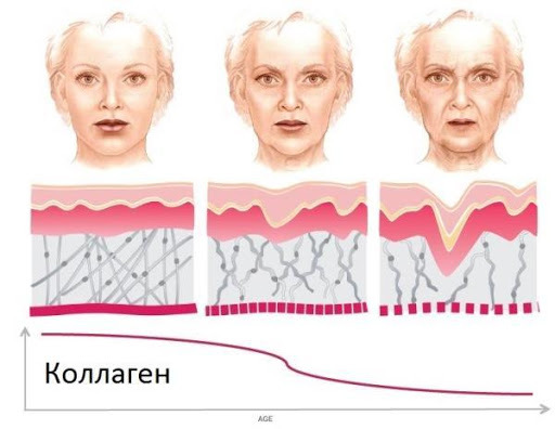 Простой способ сохранить молодость кожи, избежать ранних морщин и стать стройнее