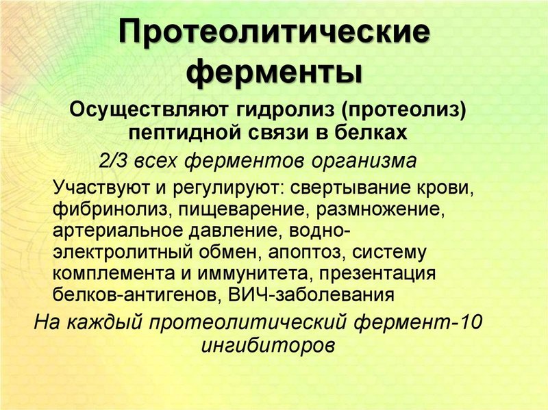 Что такое протеолитические ферменты?