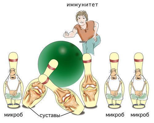 Как связаны микрофлора и аутоиммунные заболевания: что говорит наука?