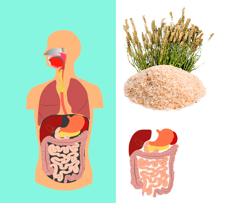 Псиллиум: 9 впечатляющих преимуществ пищевых волокон для здоровья