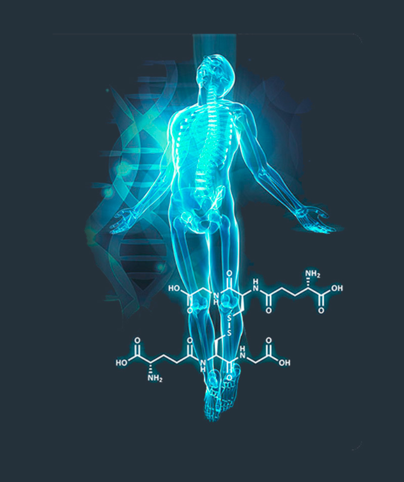Глутатион: усиление иммунной защиты и здоровье печени