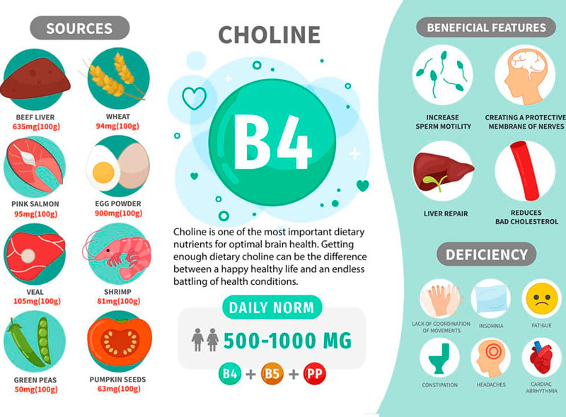 Холин: почему был переименован самый важный витамин B