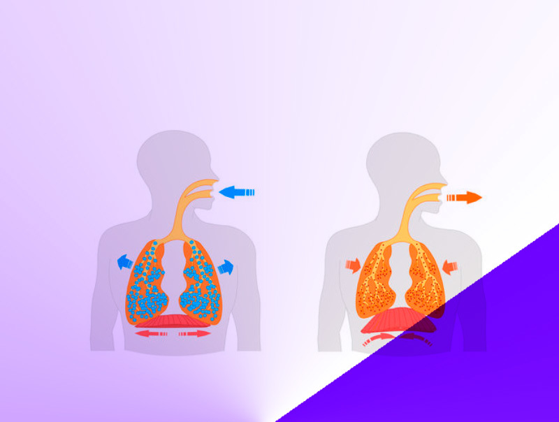 Как научиться правильно дышать