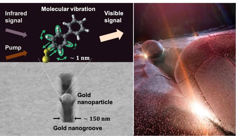 Молекулярное устройство превращает инфракрасный свет в видимый свет