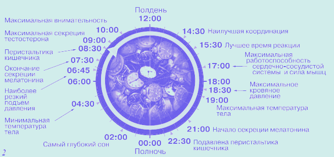 17 вдохновляющих причин, которые заставят задуматься и изменить свой режим