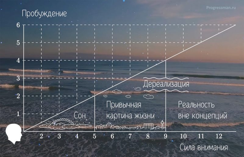 Нервная система: успокоение и возбуждение