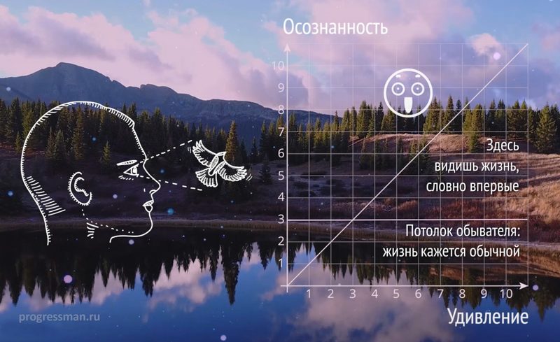 Нервная система: успокоение и возбуждение