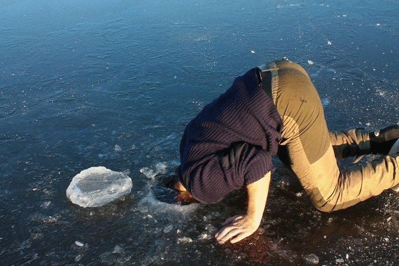 Недомыслие — бич ХХI века