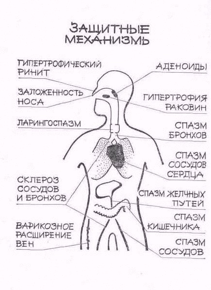 Оздоровительная техника дыхания по методу Бутейко