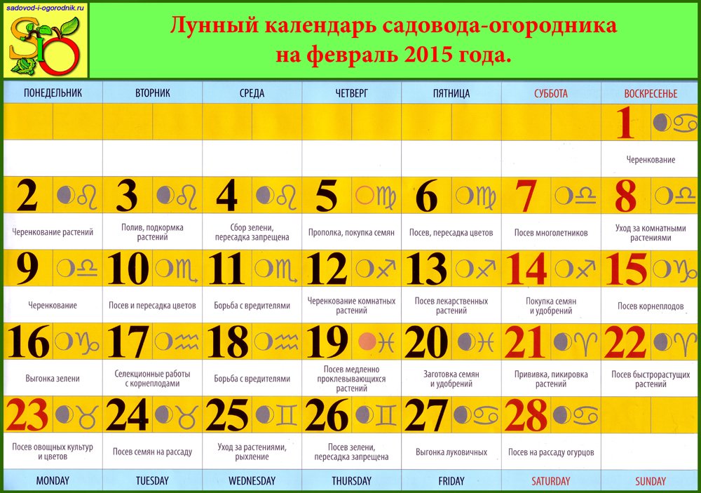 Лунный календарь садовода-огородника на февраль 2015 года.