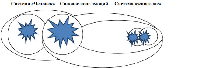 Зооантропные психокомплексы и их трансформация