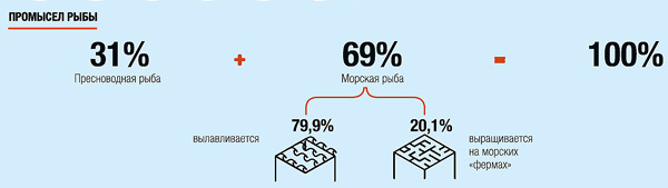 Интереснейшая инфографика для любителей рыбы