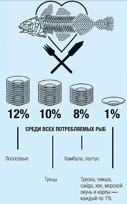 Интереснейшая инфографика для любителей рыбы