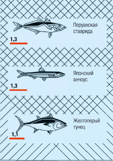 Интереснейшая инфографика для любителей рыбы