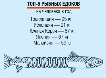 Интереснейшая инфографика для любителей рыбы